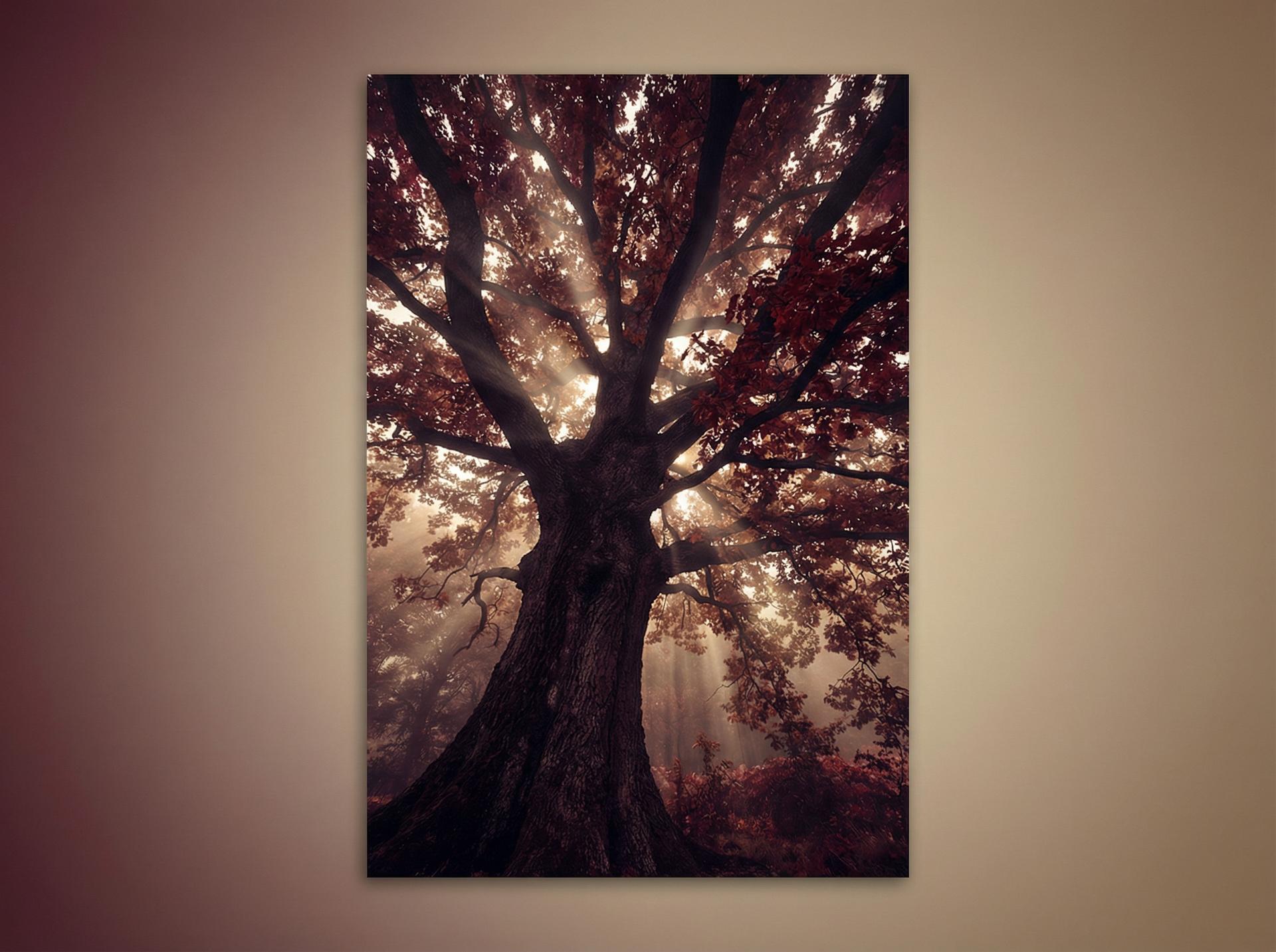 猎奇 AI植物视频推荐